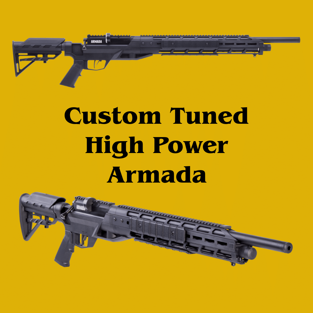 High Power Benjamin Armada for Hunting