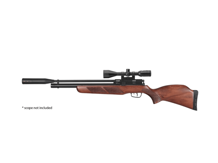 Gamo Coyote .22